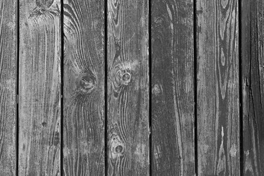 Similar image 1072775