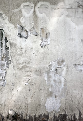 Similar image 1072783