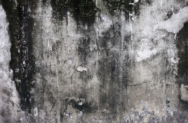 Similar image 1072784