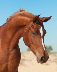 Similar image 1072851