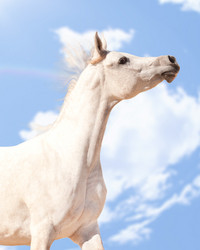 Similar image 1072853