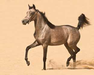 Similar image 1072857