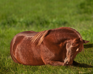 Similar image 1072858