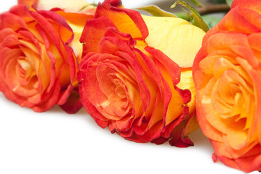 Similar image 1072861