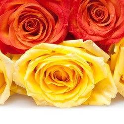 Similar image 1072863