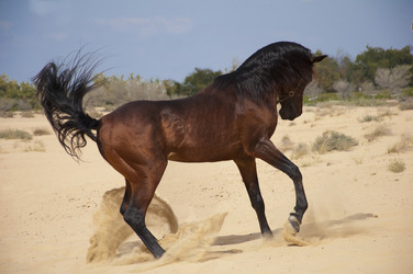 Similar image 1072864