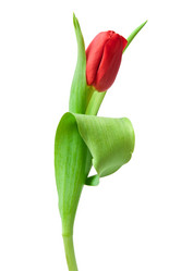 Similar image 1072873