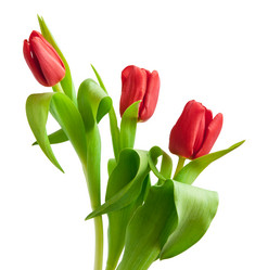 Similar image 1072879