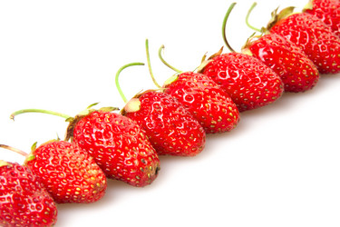 Similar image 1072888