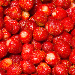 Similar image 1072890