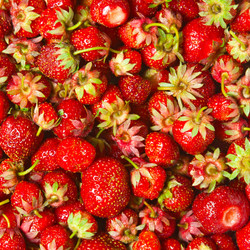 Similar image 1072893