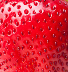 Similar image 1072895