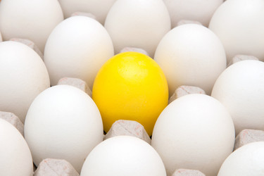 Similar image 1072914