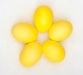 Similar image 1072921