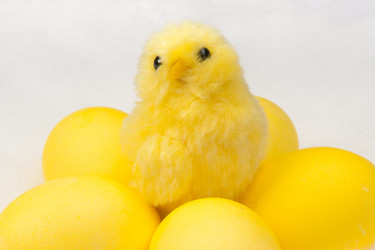 Similar image 1072927