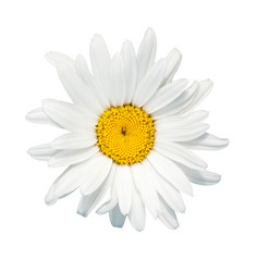 Similar image 1072941