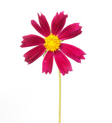 Similar image 1072950