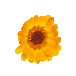 Similar image 1072958