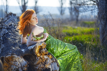 Similar image 1073177