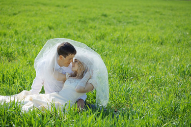 Similar image 1073300