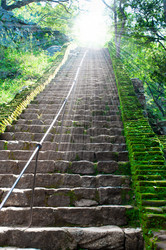 Similar image 1073358