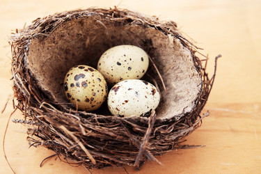 Similar image 1073419