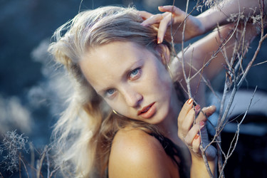 Similar image 1073458