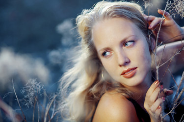 Similar image 1073463