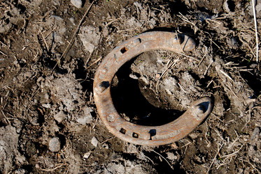 Similar image 1073532