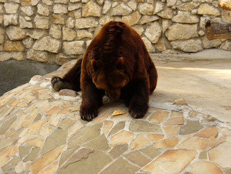 Similar image 1073555