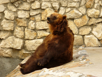 Similar image 1073556