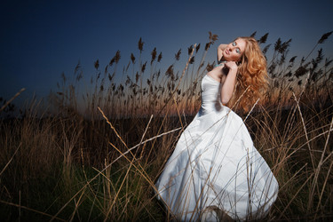 Similar image 1073566