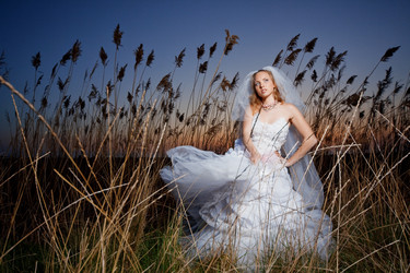 Similar image 1073568