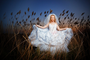 Similar image 1073569