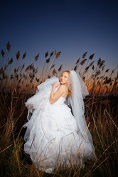 Similar image 1073571