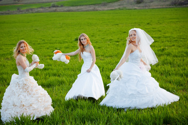 Similar image 1073580