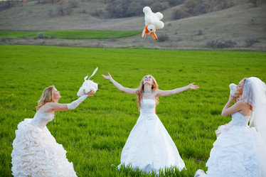 Similar image 1073585