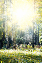 Similar image 1073601