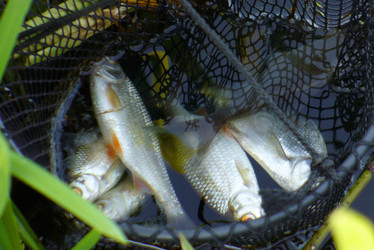 Similar image 1073602