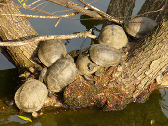 Similar image 1073622