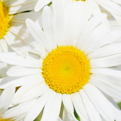 Similar image 1073754