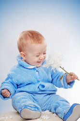 Similar image 1073780