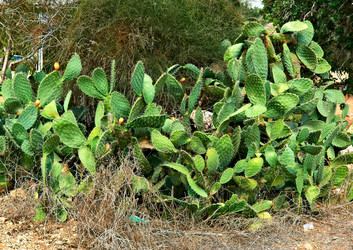 Similar image 1073809