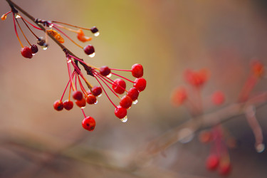 Similar image 1073828