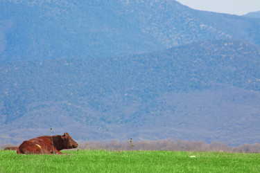 Similar image 1073906