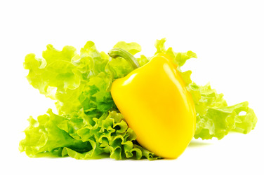 Similar image 1073919