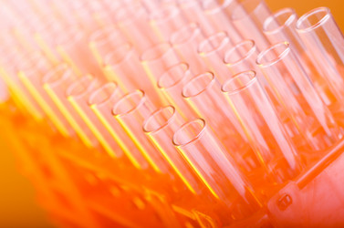 Similar image 1073942