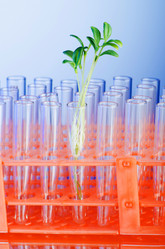 Similar image 1073952