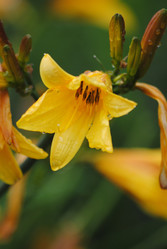 Similar image 1073963