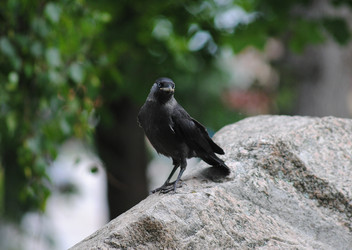 Similar image 1073996